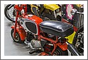 Honda-Z50-Monkey-Ika-503.jpg