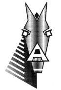 Ariel logo